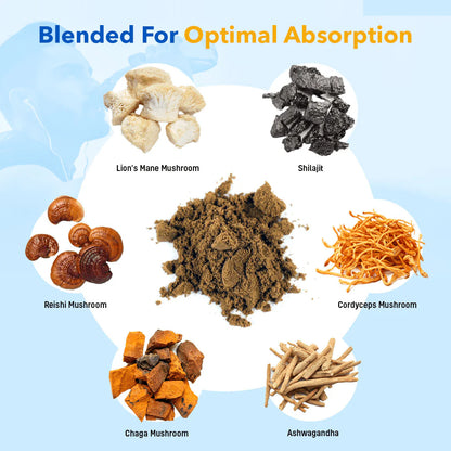 6 in 1 Ashwagandha Shilajit Mushroom Capsules NEW